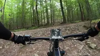 BH13