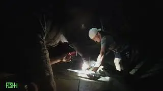 Catching BIG frogs in Frog Gigging Tournament!!! [Frog Gigging Mobile-Tensaw Delta, AL]