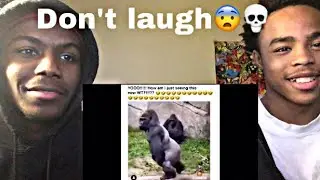 10MIN OF HOOD VINES COMPILATION 2019- REACTION‼️