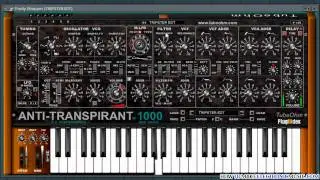 Anti-Transpirant | Free VST Synth