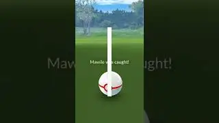 Shiny Shadow Mawile ✨️ #pokemongo