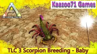 Baby Scorpion - TLC 3 Update - ARK  Survival Evolved - Insect Breeding