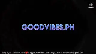Lil Sokz-I'm Sorry❤(Reggae2020/New Love Song2020/ Chillstep Pop Reggae2020)