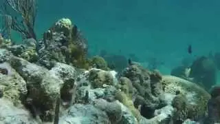 Exploring the Exuma Bahamas