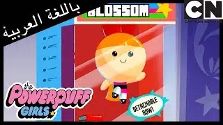 فتيات القوة | قلب قلب الحجر | كرتون نتورك
