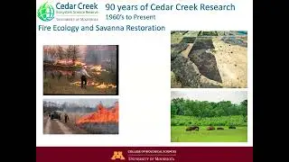 Cedar Creek Research by Eric Seabloom