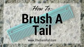 How To Brush a Horse's Tail