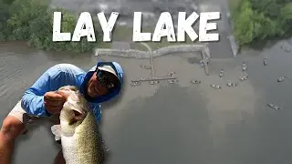 MADE THE CUT! Bassmaster Elite series at Lay Lake