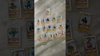 My Pok&eacute;mon mini card collection