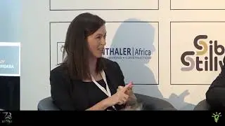 Небольшие горнодобывающие компании и ESG: взгляд с передовой | Панельная дискуссия