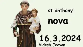 st anthony nova #stanthonys #stanthony