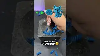 Blue Pasta Cat Evolution! 😊💖