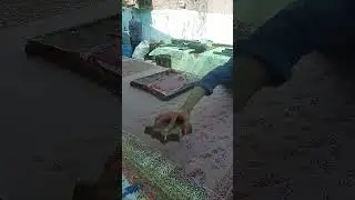 Understanding The Block Printing techniques and varieties
