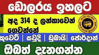 🔴🇱🇰අද රටවිරු  ඩොලරය ඉහලට| kuwait  saudi airporte news today| exchangerate today 