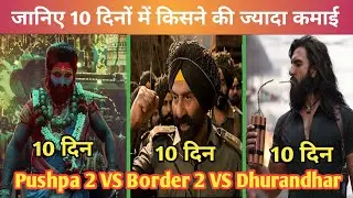 Border 2 Vs Dhurandhar Vs Pushpa 2 Box Office Collection | Day 10 Hindi | Sunny Deol