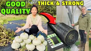 Heavy Duty Weed Barrier Fabric for Garden & Landscaping Projects