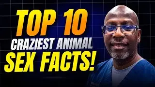 Top 10 CRAZIEST Animal Sex FACTS &ndash; You Won&rsquo;t Believe #1!