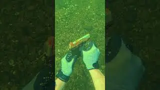 I Found a Gun Underwater While Scuba Diving! (Police Called)