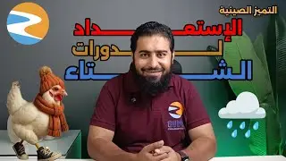 الاستعداد لدورات الشتاء |دواجن علينا |التميز الصينية 