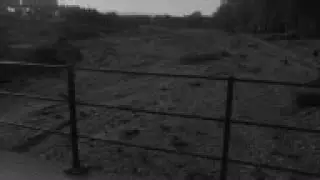 CAN718 EFFECTS OF DROUGHT DUE TO HALVED NORMAL RAINFALL