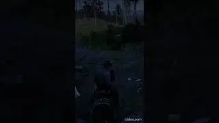 Red Dead Shorts - Level 1 Arabians vs Wolves #reddeadshorts