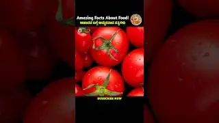 🔥Food Facts In Kannada🤯|Amezing Facts!