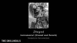 Shayad Instrumental (Slowed and Reverb) | Headphones Reccomended
