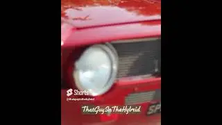 Old Alfa Romeo #shorts #seenthroughglass #stg #btg #behindtheglass #Alexandersprestige