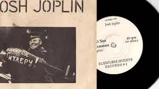 Josh Joplin - The Reasons [Sleepless Nights] 1990 Psych Folk 45