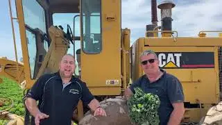 Ali Farms - Kale - Biviano Direct