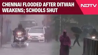 Chennai Rain News | Chennai Flooded After Ditwah Weakens; Schools Shut Amid Heavy Rain