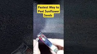 Fastest Way to Peel Sunflower Seeds | Genius Food Hack | Peel in Seconds #shorts #viralshorts
