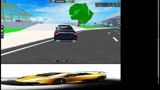 Cubird Live Stream