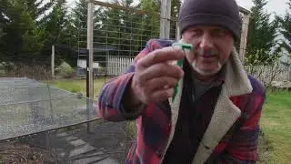 How To Peg Down Bird Netting