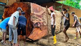 🎬 DRAMATIC CUTTING OF A GIANT MAHOGANY TREE AT THE SAWMILL – MUST SEE!