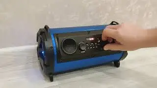 Обзор колонки Rojen rmc1602