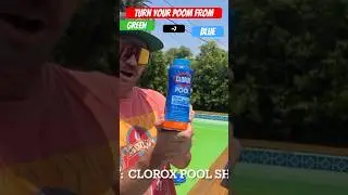 Turn your pool from green to blue! #pool #diy #swimmingpool #howto #poolchemistry #clorox #shock