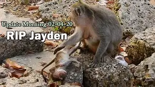 Million Sad! RIP Poor Jayden passed away, Last day of her without no love or care, Goodbye forever