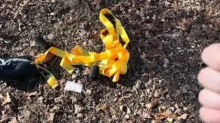 Contents, Thoughts, and Review of Benicci Tree Swing Straps