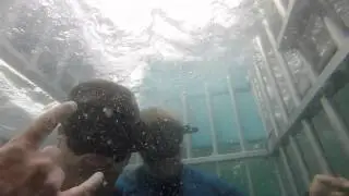 Shark Cage Diving in Cape Cod