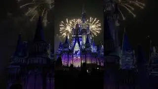 My favorite scenes from HAPPILY EVER AFTER fireworks #disneyfireworks  #magickingdom #disneymagic