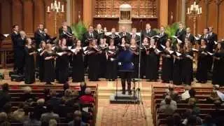 The Singers - Spirited Light - Jake Runestad