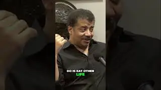 Neil deGrasse Tyson: Can We Eat Mirror-Image Life Forms?