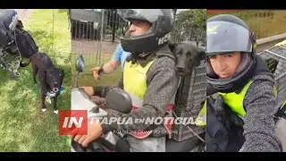 33 HORAS EN MOTONETA DESDE BS. AS. A ENCARNACIÓN PARA NO ABANDONAR A SU MASCOTA