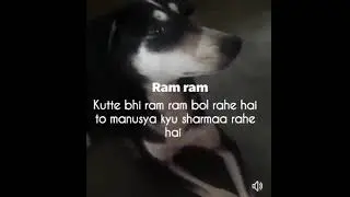 dog say ram ram from his mouth
