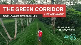 The Green Corridor in Singapore (I Never Knew) - A 360 VR Immersive Experience