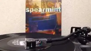Spearmint - Sweeping The Nation (7inch)