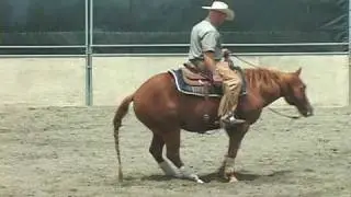 Gentle and safe cutting horse for sale