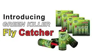 Say Goodbye to Flies! Watch How This Simple Fly Catcher Ribbon Works Like Magic | Royalkart