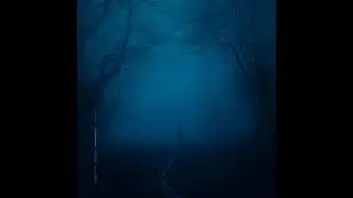 Snowfall (Perfect Loop)
